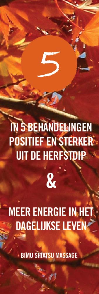 Herfstdip-Shiatsu-massage-Den-Bosch-banner