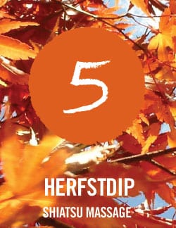 Wat te doen tegen een herfstdip? Najaarsdip Den Bosch