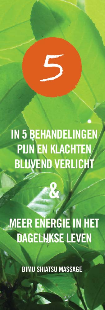 Rugpijn-Shiatsu-massage-Den-Bosch-banner