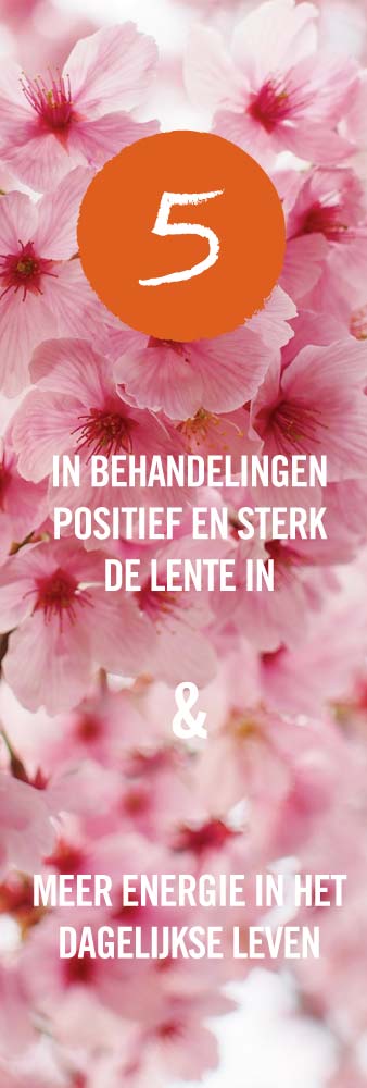 Voorjaarsmoeheid-Shiatsu-massage-Den-Bosch-banner