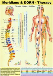 Meridianen en Dorn therapie
