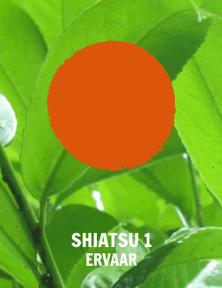 logo-shiatsu-1-ervaar